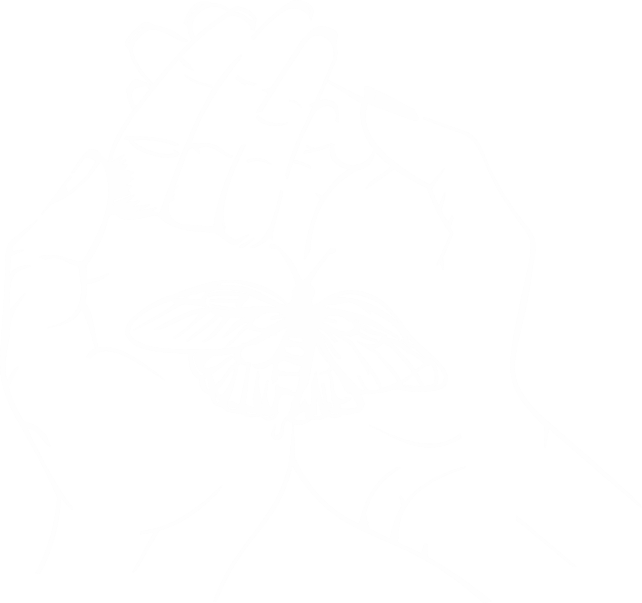 Schmetterling_in_hand